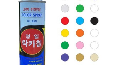 🚗 랩터스프레이 솔직 후기! ✨ 놀라운 변화 & 꿀팁 대방출!