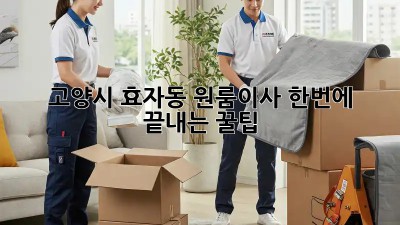 고양시 효자동 원룸이사🧹 한번에 끝내는 꿀팁🍯