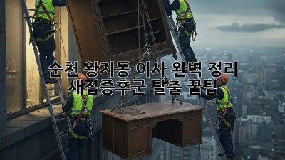 순천 왕지동 이사🏠, 완벽 정리 & 새집증후군 탈출 꿀팁!